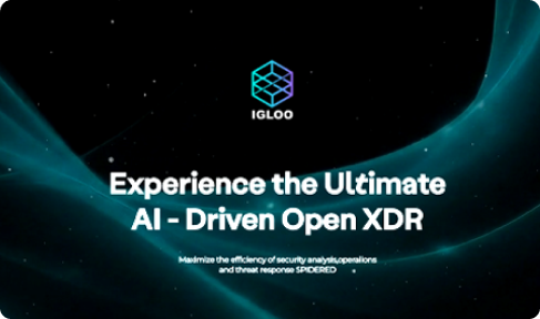 IGLOO Corporation Redesign