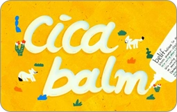 '자바 프로그래밍 입문' 집필